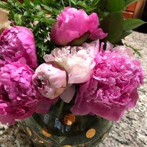 Meet your Posher, Lianet